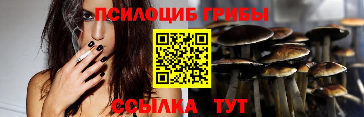 Псилоцибиновые грибы прущие грибы  Вход с VPN  Сатка 