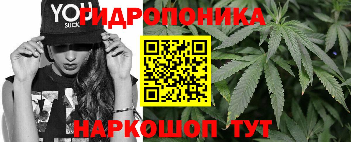 Марихуана гибрид  Бошки Шишки сатива  Бошки марихуана OG Kush  Сатка  Вход с VPN 